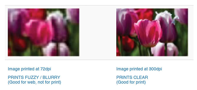 2 versions of same graphic of flower showing quality hi-res vs low-res
